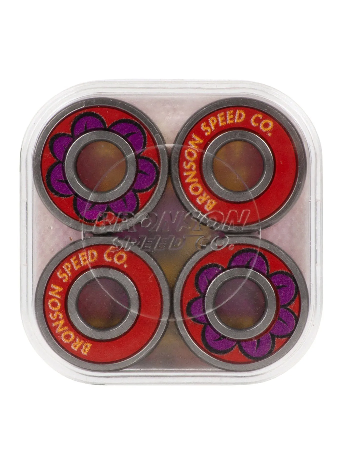 G3 Fabiana Delfino Bearings