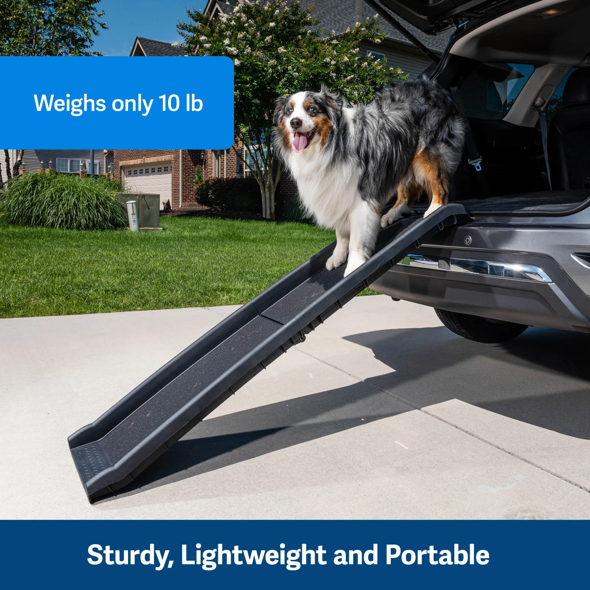 PetSafe Happy Ride Folding Dog Ramp